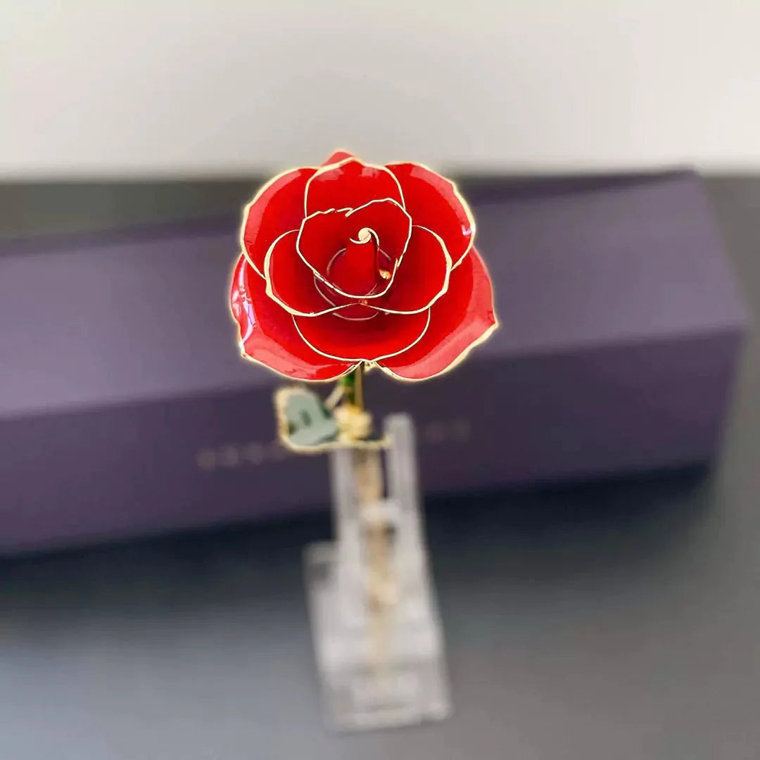 24K Gold Dipped Rose - Red